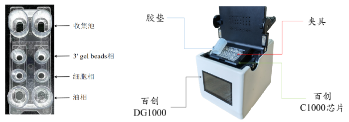 圖1：百創(chuàng)C1000芯片結(jié)構(gòu)（左圖）；百創(chuàng)DG1000微液滴生成儀（右圖）